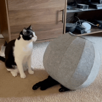 Puckó – Puha, összecsukható macskabúvóka