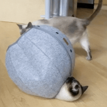 Puckó – Puha, összecsukható macskabúvóka